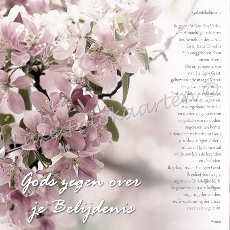 Belijdenis - bloesem je